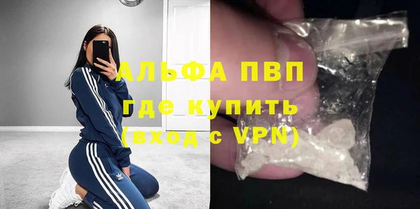 сатива Дмитровск