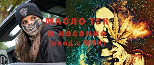 индика Михайловск