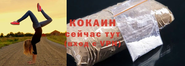 индика Михайловск