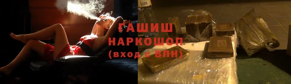 индика Михайловск