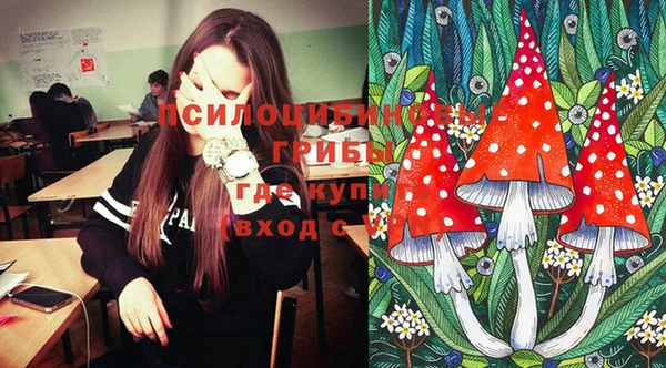 индика Михайловск