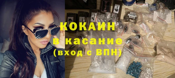 сатива Дмитровск