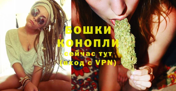 сатива Дмитровск