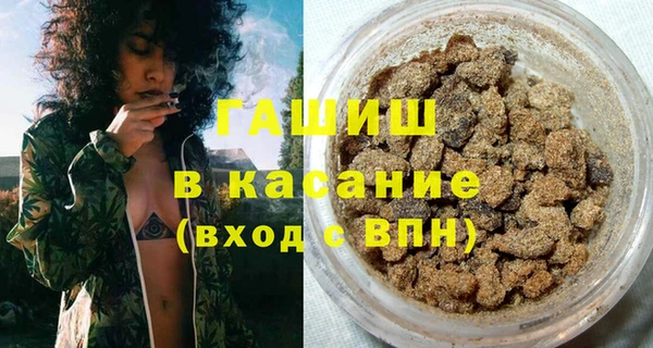 индика Михайловск