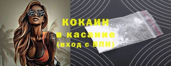 сатива Дмитровск