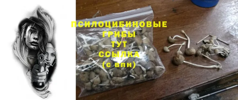 Галлюциногенные грибы Magic Shrooms  Долинск 